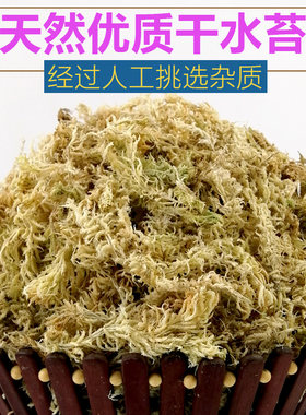 贵州优质水苔蝴蝶兰换盆专用植料