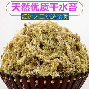 贵州水苔蝴蝶兰专用营养土鹿角蕨文殊兰养兰花盆景保湿的干苔藓草