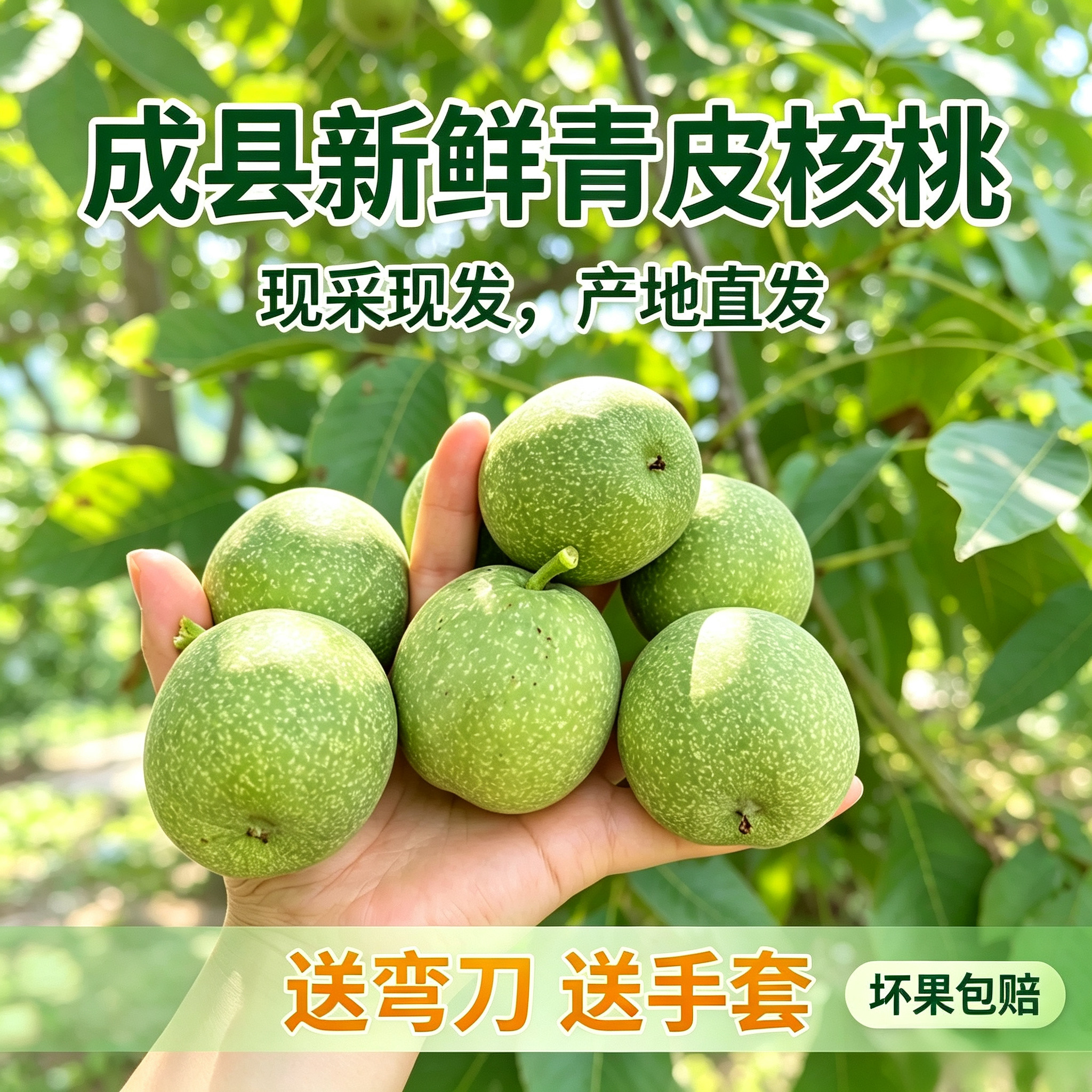 成县当季新鲜青皮核桃