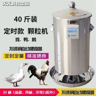 户外养鸡鸽子全自动喂食器神器投食机不锈钢定时信鸽用品用具食槽