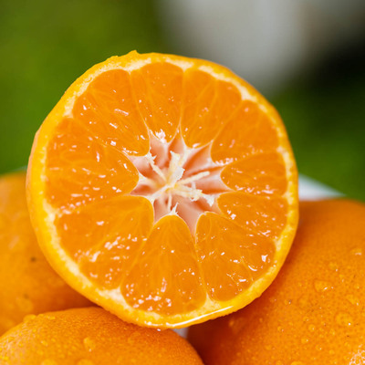 蜜桔当季新鲜水果多汁