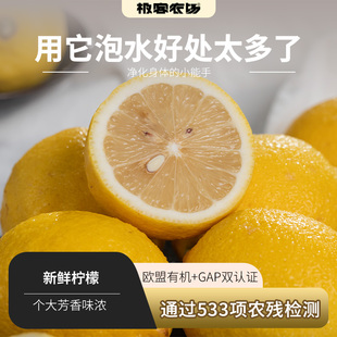 中通快递 新鲜柠檬 欧盟有机认证GAP 零农残 个大新鲜不打蜡