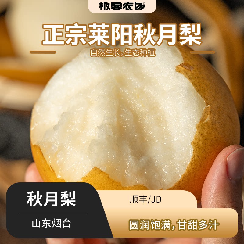 正宗莱阳秋月梨丨甜度高爆汁化渣率好 果肉细腻酥脆 只做头茬大果