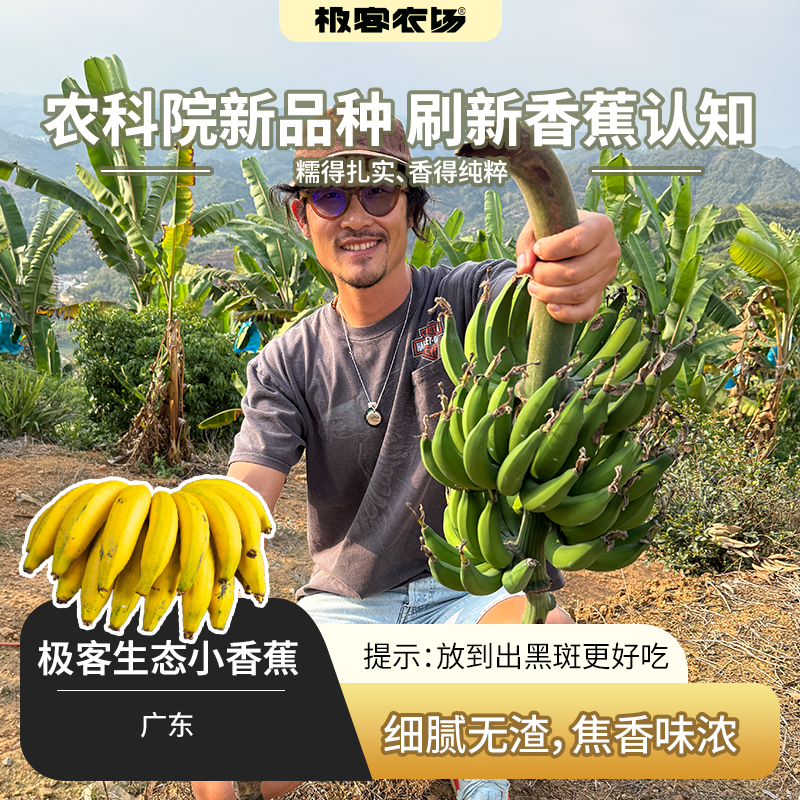 极客生态小香蕉丨农科院新品种 细腻无渣 焦香浓郁 出黑斑更好吃