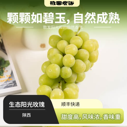 生态阳光玫瑰丨龙珠葡萄 个别有核 绿色种植 淡淡玫瑰果香气 顺丰