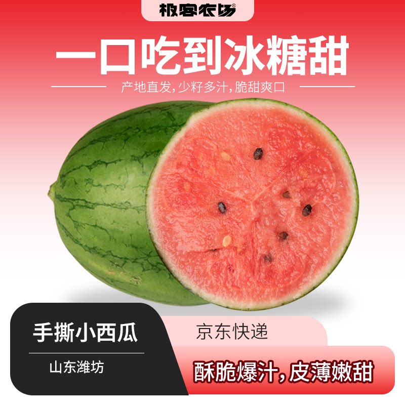 极客手撕西瓜丨酥嫩香甜 细腻多汁 皮薄易碎 轻拿轻放 JD