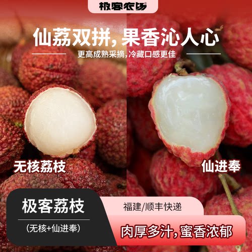 极客荔枝丨仙进奉 甜中带甘 蜜香十足 层次丰富 清雅不腻 福建 SF