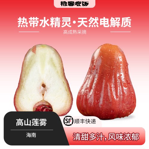 高山莲雾 | 高山生态种植 黑金刚/香水芭比 清甜多汁 风味浓郁