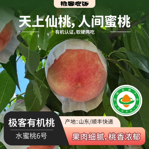 极客有机水蜜桃（6号）丨果肉细腻 桃香浓郁 香甜多汁 顺丰快递