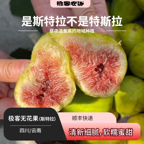 极客无花果（斯特拉）丨皮薄如纸 肉质软糯 蜜甜多汁 到货需冷藏