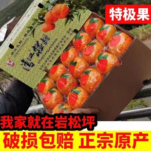 宜昌长阳正宗岩松坪清江椪柑芦柑橘新鲜孕妇水果新鲜采摘产地直发
