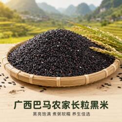 黑米黑豆黑芝麻广西巴马农家自产有机五谷杂粮组合散装黑米5斤