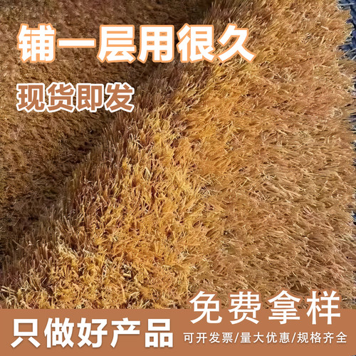 仿真沙滩草草坪地毯户外庭院楼顶造景装饰地垫人工造塑料假草皮