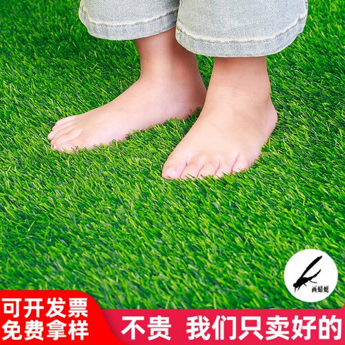 画蜻蜓仿真草坪总有一款适合您