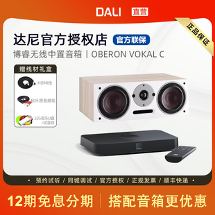 DALI/达尼OBERON VOKAL C博睿HIFI无线有源中置音响家用中置音箱