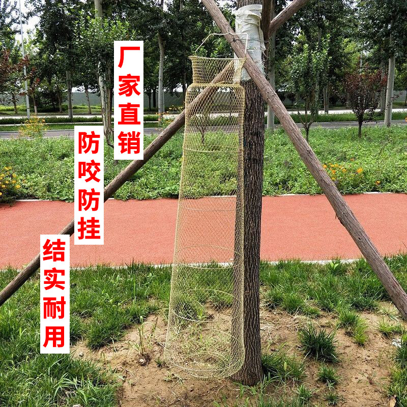 钢丝鱼护鱼篓网金属鱼篓钢丝鱼护