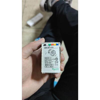 非实价议价议价非实价议价议价询价带灯按钮头ZB4BK1233议价议价