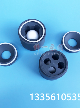 计量泵单向阀米顿罗计量泵配件MBH642-8MPBMEM4SEST11NN22止回阀