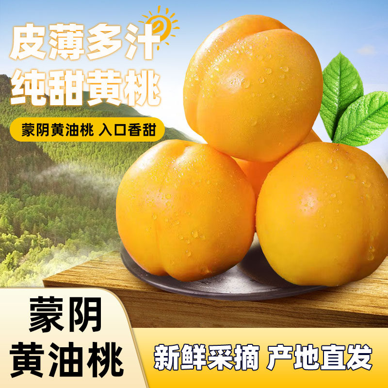 黄油桃蒙阴蜜桃黄金油桃新鲜水果整箱包邮当季黄肉黄心脆桃包邮