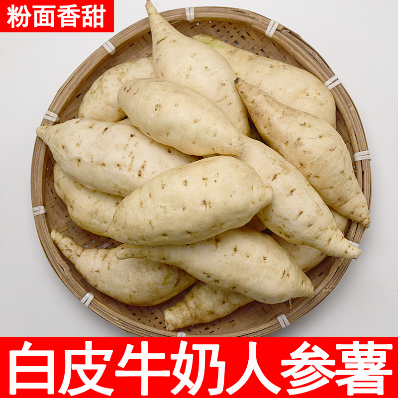 白河南皮白心牛奶人参薯现挖板栗红薯新鲜农家自种白心干面红薯