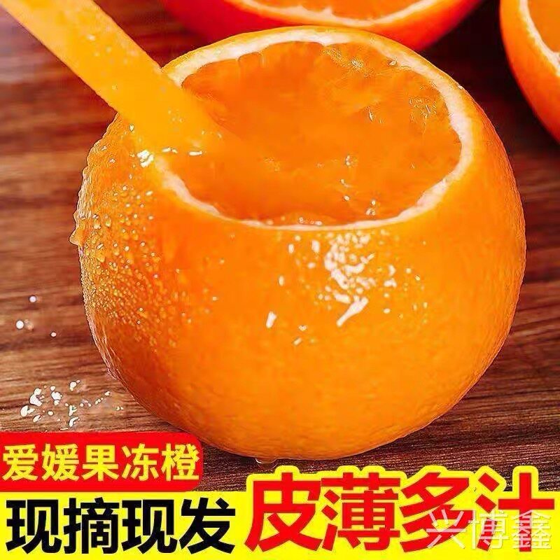 四川爱媛38号果冻橙新鲜橙子5斤水果当季整箱青见手剥果冻橙大果