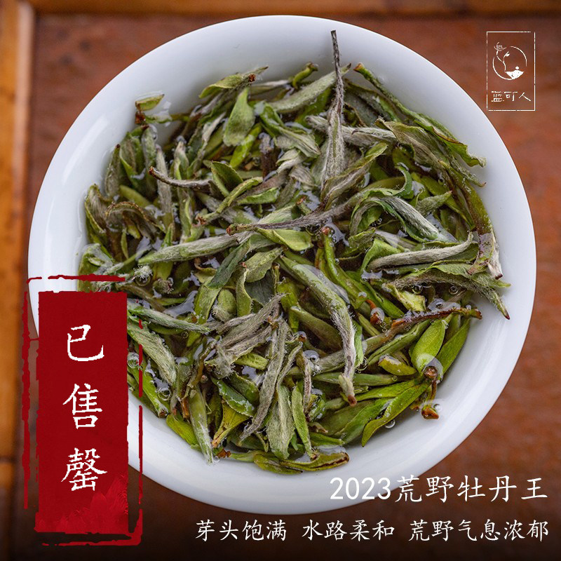福鼎白茶2023年荒野牡丹王老树白牡丹茶叶散茶自己喝磻溪古树采摘