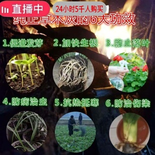 天然草木灰有机肥农家肥纯钾肥蔬菜果树种植壮苗膨果疏松土壤防虫