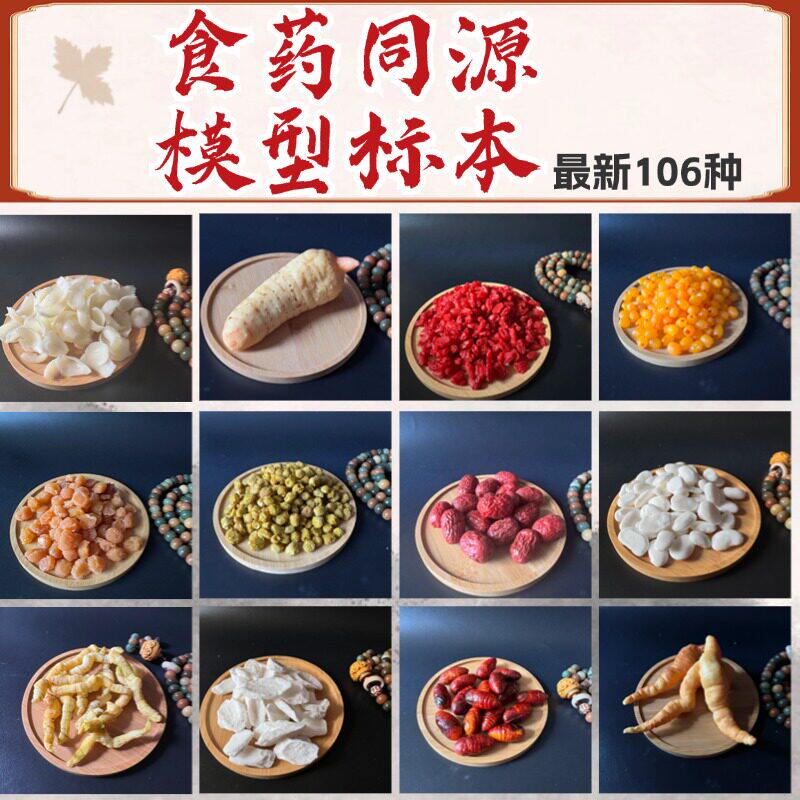 中药材模型仿真虫草天麻名贵中药材博物馆展厅医馆标本模型陈列品