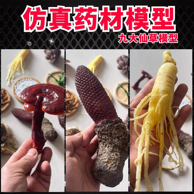 药材标本中药仿真模型名贵虫草中药材黄精橱窗道具假灵芝鹿茸模型