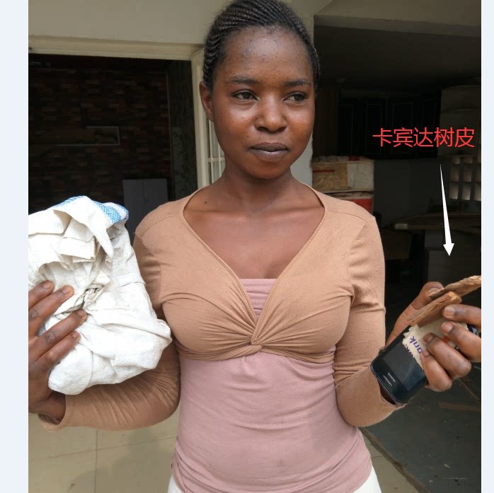 卡宾达树皮 非洲小谢