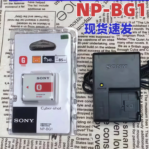 NP-BG1电池索尼W100/110/120/130/150/170/200/290/300相机充电器