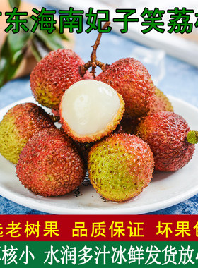 现货海南妃子笑荔枝顺丰包邮