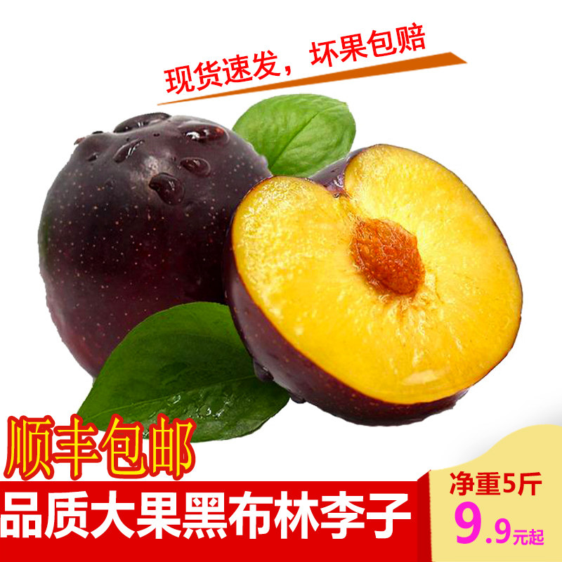 顺丰包邮 新鲜黑布林李子大果5斤脆李黑金刚恐龙蛋当季孕妇水果