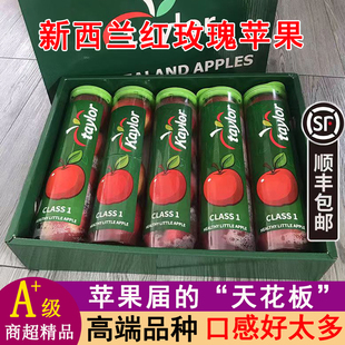包邮 孕妇水果顺丰 新西兰进口小苹果新鲜红玫瑰5罐当季 高端品种