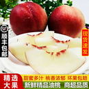 包邮 澳洲进口脆甜油桃新鲜水果5斤当季 蜜桃孕妇水果整箱批发顺丰