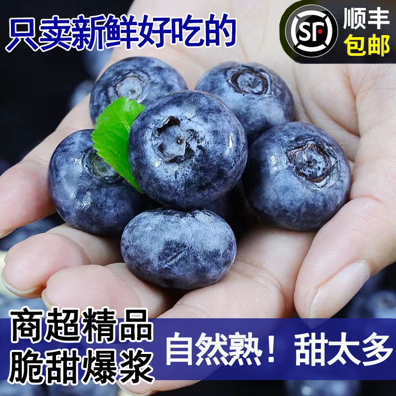 云南山地高原新鲜蓝莓鲜果盒装应当季水果孕妇整箱大果顺丰现货