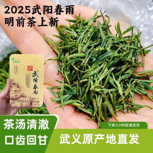 2025年新茶茶叶武阳春雨高山高级名茶一级绿茶武义新款特产50g/罐