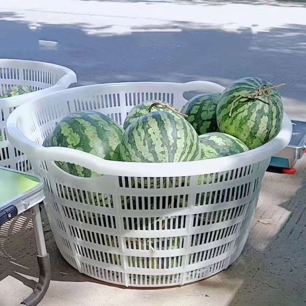 塑料筐家用商用收纳筐水果篮储物菜篮子聚丙烯加厚耐用