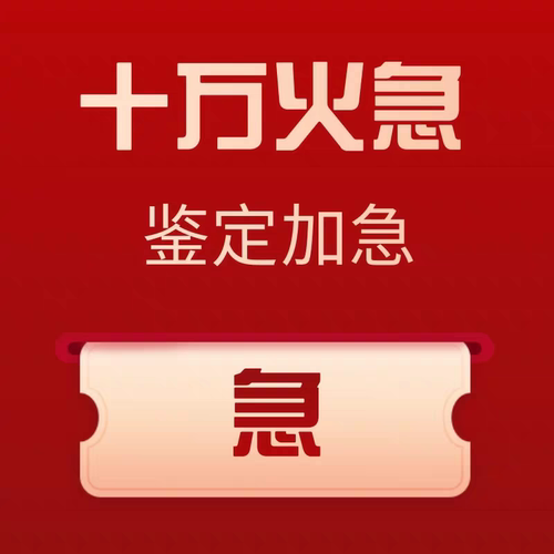 不排队●加急鉴定●插队所有客户直达鉴定师●拍此链接后联系我们