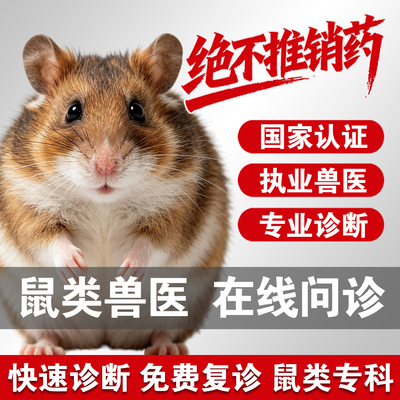宠物医生在线问诊鼠异宠问诊金丝熊仓鼠荷兰猪花枝鼠问诊异宠医生