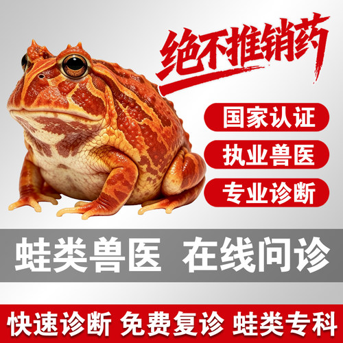 宠物医生在线问诊24小时蛙类问诊角蛙异宠问诊两栖问诊蛙看病角蛙