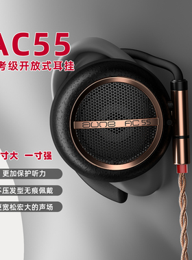 aune AC55/AC45耳机专业音乐hifi发烧电竞游戏有线Typec可换线
