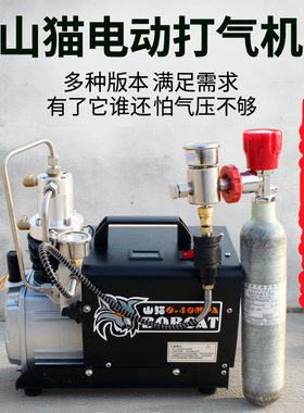 山猫电动高压打气机40mpa 高压充气泵30mpa 小型单缸水冷打气机筒