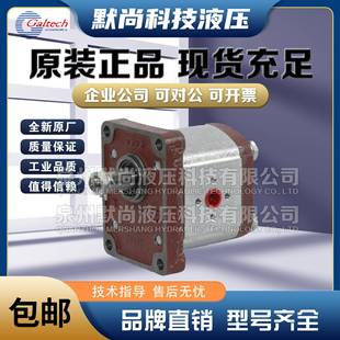 078 050 N马达 高泰克Galtech齿轮马达1SM 098 063 042 EUR