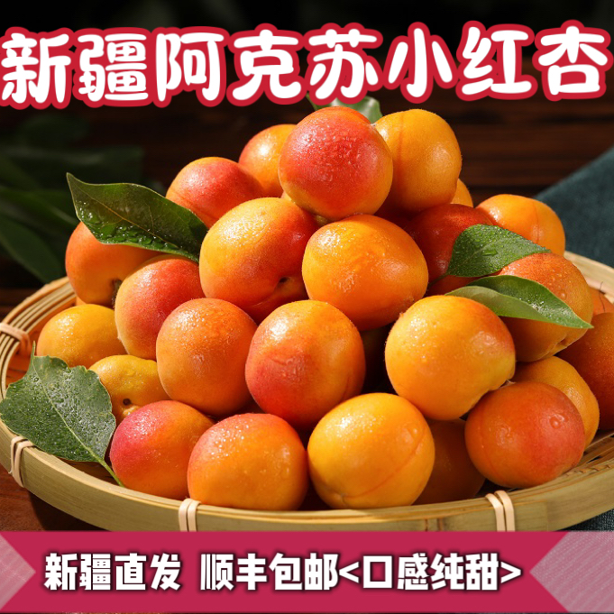 新疆小紅杏新鮮 阿克蘇吊干杏水果當(dāng)季包甜杏子勝小白杏順豐包郵
