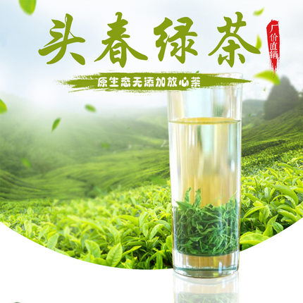 2024春季明前绿茶嫩芽昭平毛尖高山茶叶自产自销清爽回甘耐泡散装