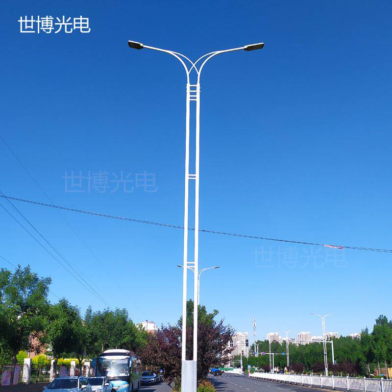 高低双臂路灯6米8米10米12米新农村市政道路双头双火双杆led路灯