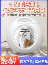 宠物烘干箱家用猫咪烘干机狗狗吹水机吹风箱吹风机吹干毛洗澡神器