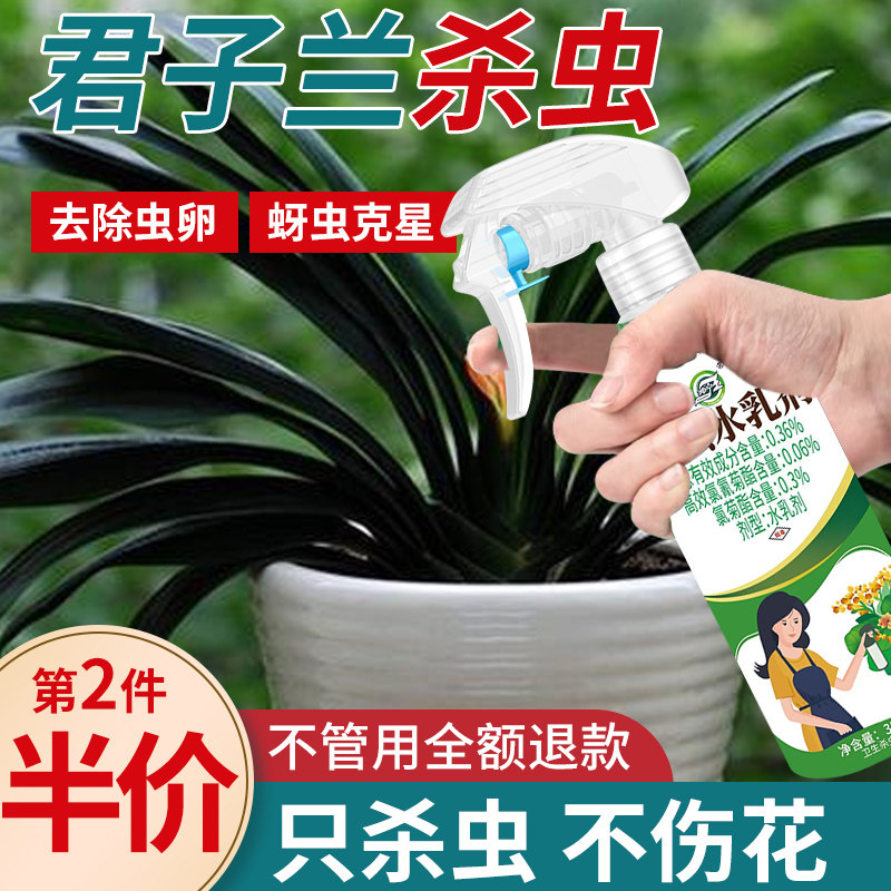 【君子兰】花卉杀虫剂不伤植物