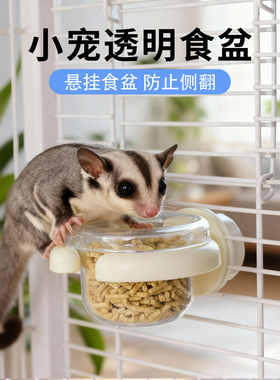 蜜袋鼯喂食器喂水器食盆喂粮小碗飞鼠蜜袋鼬悬挂透明食碗防打翻